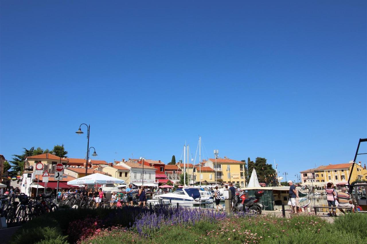 Gianna A4+2 Lejlighed Novigrad Istria Eksteriør billede